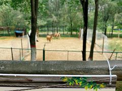 -青藏高原野生动物园