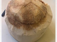 -志龙皇冠吃货椰子铺