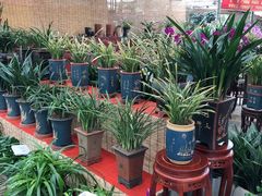 -秦美花卉(天朗·莱茵小城2期店)