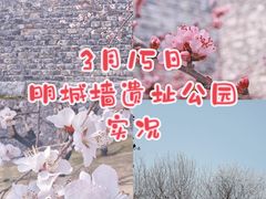 -北京明城墙遗址公园