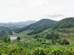 -乌石村