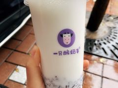 -一只酸奶牛(八一路店)