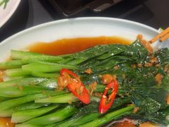 广东菜心-蚝伯·新派海鲜(荣昌店)