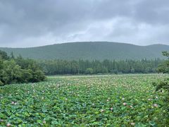 -云龙湖旅游景区