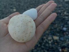 -七星潭蓝天广场