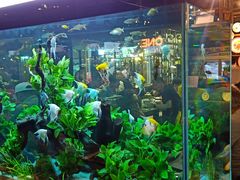 -The Dishes Seafood & Restaurant