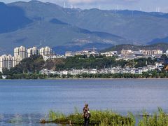 -洱海月湿地公园