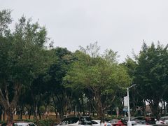 -紫马岭公园