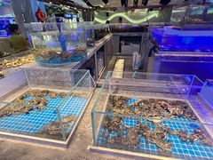 -一方渔歌蒸汽海鲜自助(文化路万达广场店)