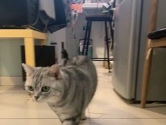 -平行世界·猫咖(首经贸店)