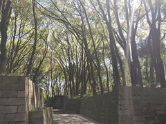 -上海方塔园
