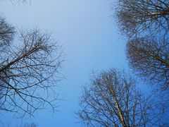 -桤木河湿地公园