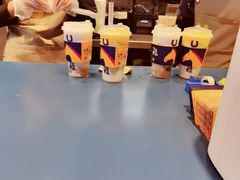 -春丽小马(济南恒隆广场店)