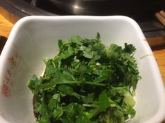 -袁记串串香(新南门店)