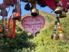 -西双版纳原始森林公园