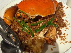 避风塘炒辣蟹-喜记避风塘炒辣蟹(旗舰店)