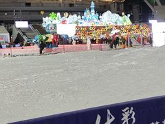 -沈阳奥体冰雪嘉年华