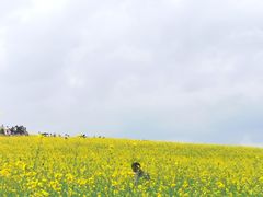 -光明小镇欢乐田园
