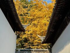 -西园寺素食(西园弄戒幢律寺店)