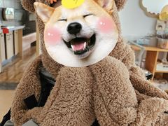 -汉丽斯巴西烤肉自助(市南店)