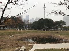 -后襄河公园