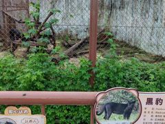 -大连森林动物园