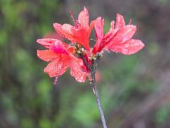 -瑞安圣井山景区