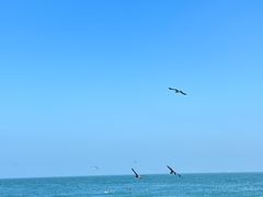 -那香海钻石沙滩浴场