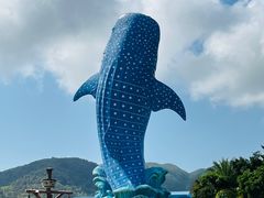 -珠海长隆海洋王国