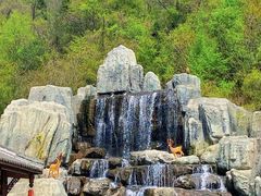 -光雾山旅游景区