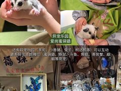 -瑞虹新天地月亮湾