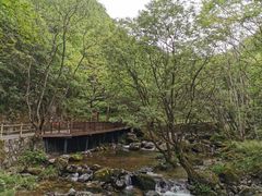 -牛背梁国家森林公园