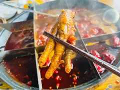 -五里关火锅(牛市口店)