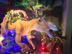 -恐龙探索乐园(磁器口店)