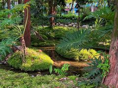 -成都市活水公园