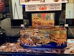 -蟹道乐(道顿堀本店)