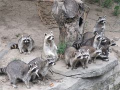 -宁波野生动物园