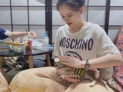 -逗柴咖啡屋·狗咖猫咖宠物桌游