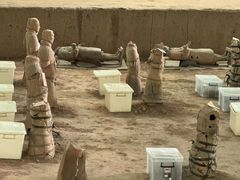 -秦始皇帝陵博物院(兵马俑)
