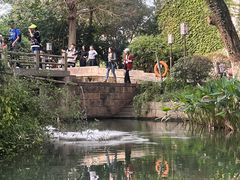 -西溪国家湿地公园