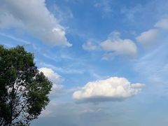 -龙坞茶村