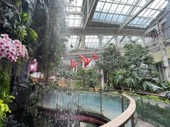 -正佳雨林生态植物园