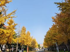 -中国政法大学(昌平校区)
