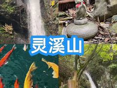 -老李家土菜馆·安吉地标美食