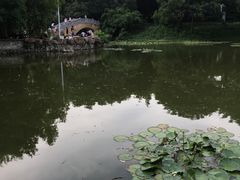 -昔士风中西餐厅(天河公园店)