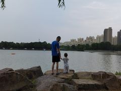 -南翔镇银翔湖公园