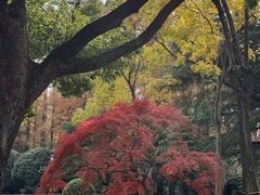 -上海虹桥迎宾馆