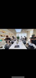 -汀南丝雨Hair design