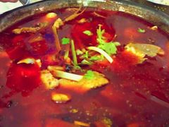 -重庆特色冷锅鱼(武大店)