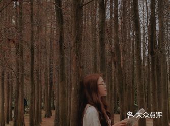 湛江南国花园|绝美热带花园红杉林